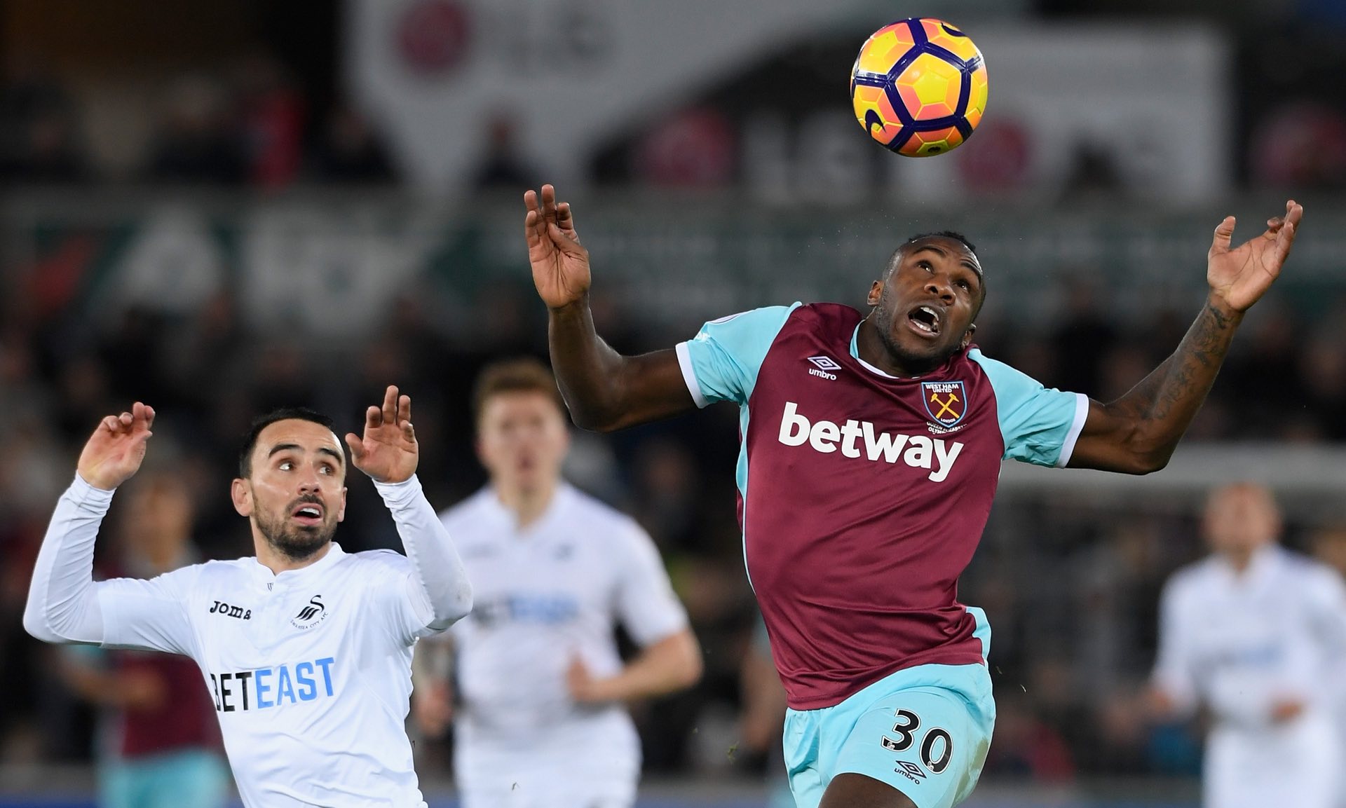 和团队提供 和团队提供