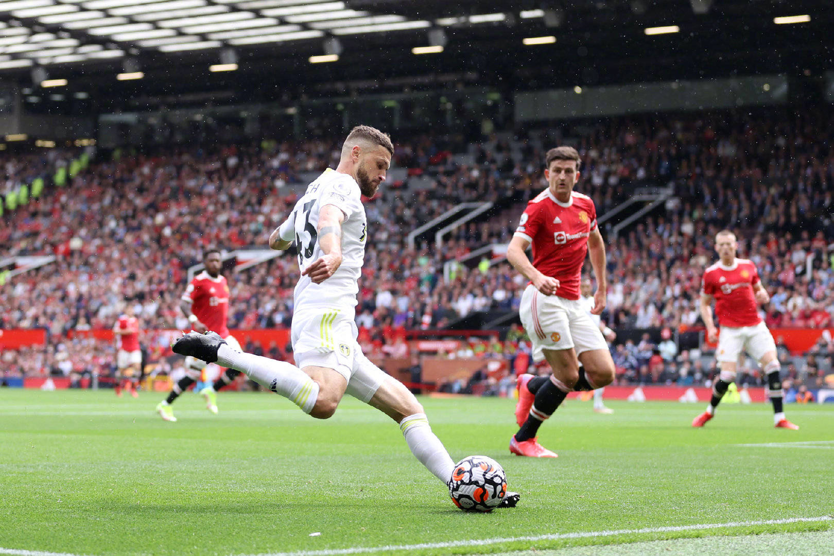 们提供指导 们提供指导